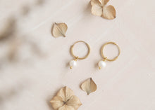 Load image into Gallery viewer, Orbit gold hoops with single natural round freshwater pearl charm earrings